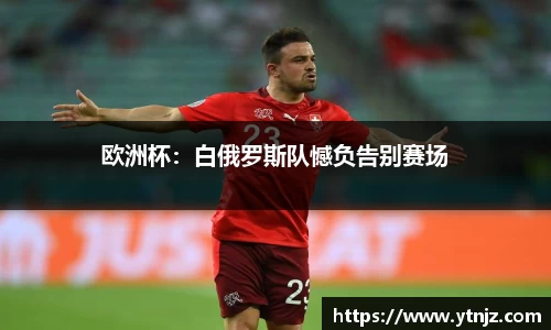 欧洲杯：白俄罗斯队憾负告别赛场